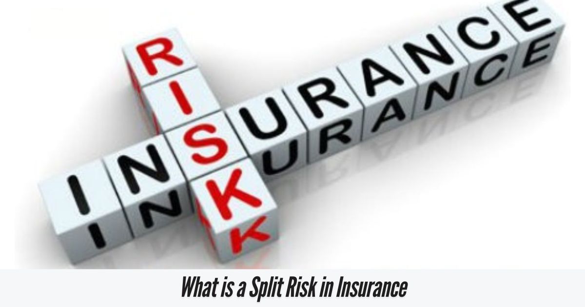 What-is-a-Split-Risk-in-Insurance